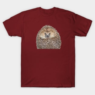 Hedgehog Portrait T-Shirt